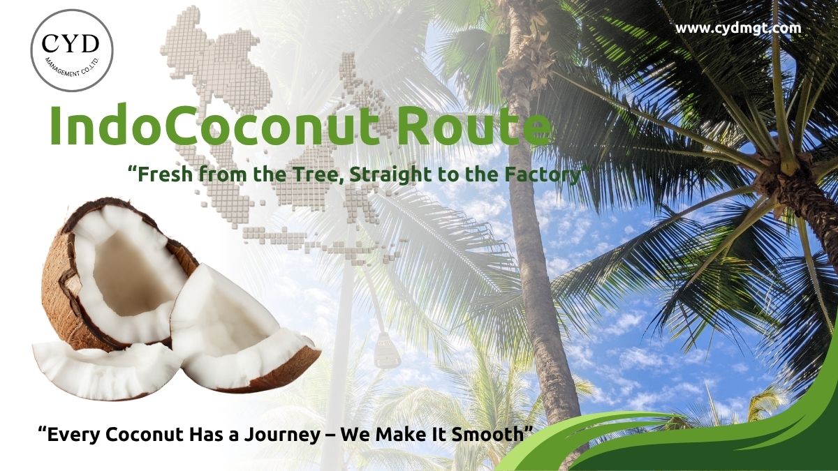 มะพร้าวจากอินโดนีเซีย IndoCoconut Route